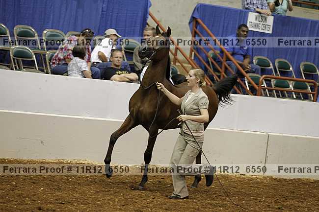 Proof 11r12_6550