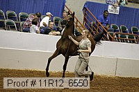 11r12_6550 proof