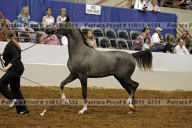 Proof 11r12_6551