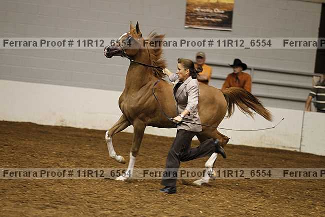 Proof 11r12_6554