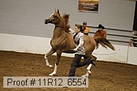 11r12_6554 proof