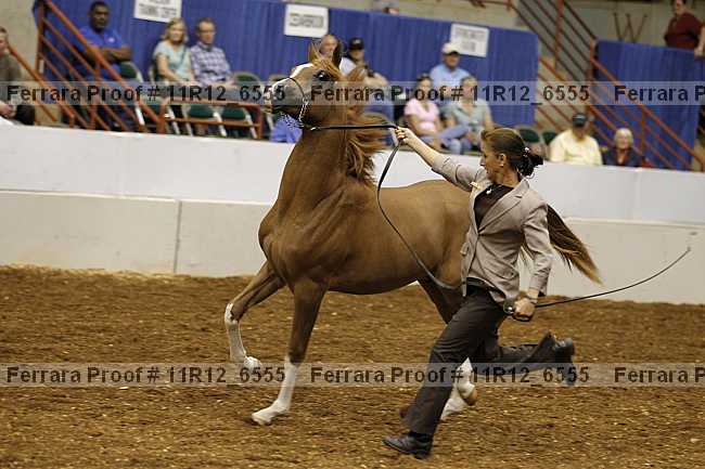 Proof 11r12_6555