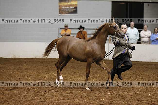 Proof 11r12_6556