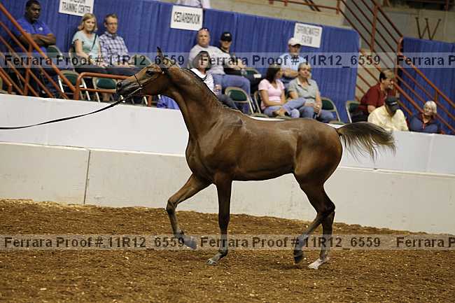 Proof 11r12_6559