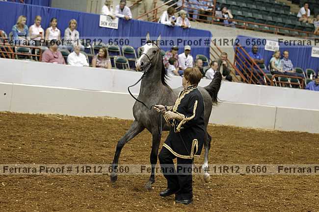 Proof 11r12_6560