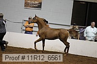 11r12_6561 proof