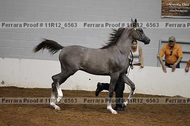 Proof 11r12_6563