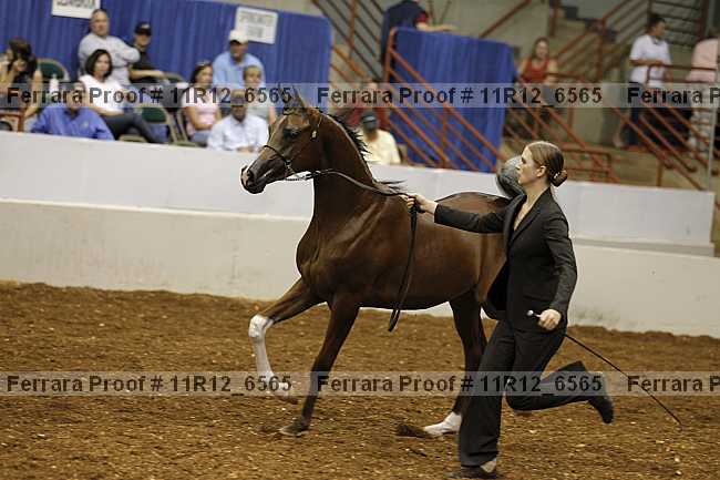 Proof 11r12_6565