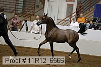 11r12_6566 proof
