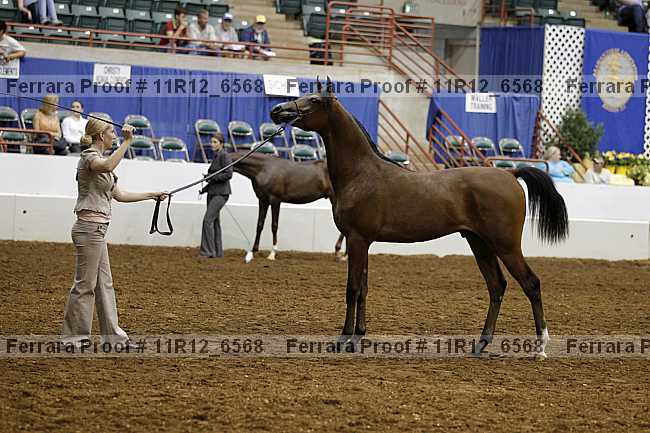 Proof 11r12_6568