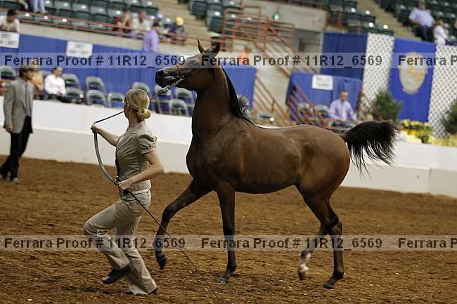 Proof 11r12_6569