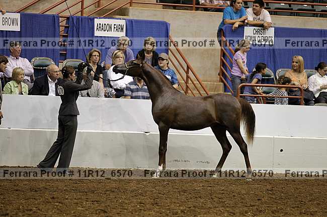 Proof 11r12_6570