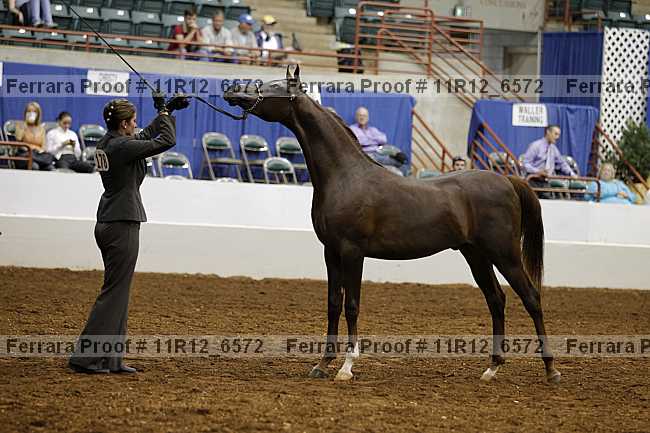 Proof 11r12_6572