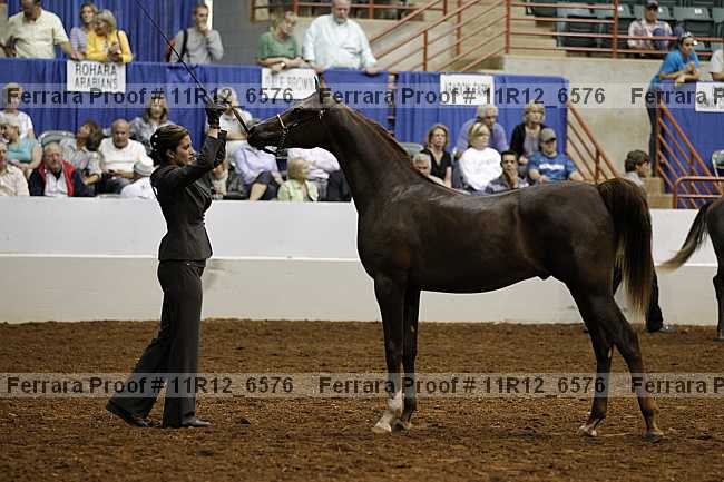 Proof 11r12_6576
