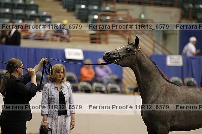 Proof 11r12_6579