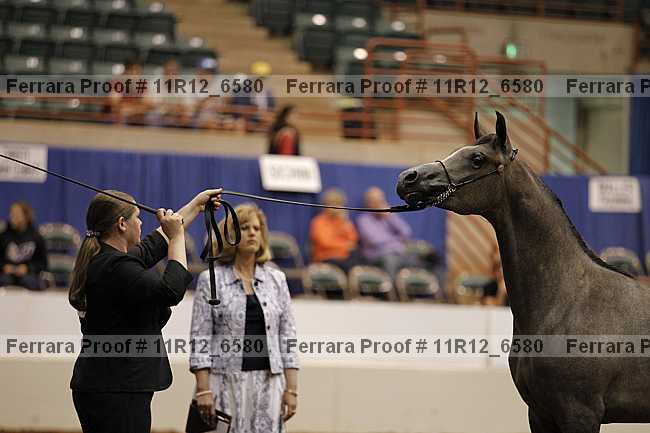 Proof 11r12_6580
