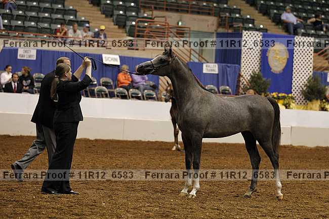 Proof 11r12_6583