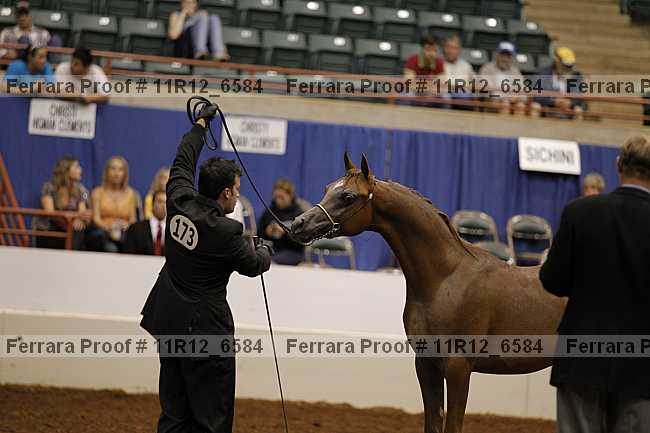 Proof 11r12_6584