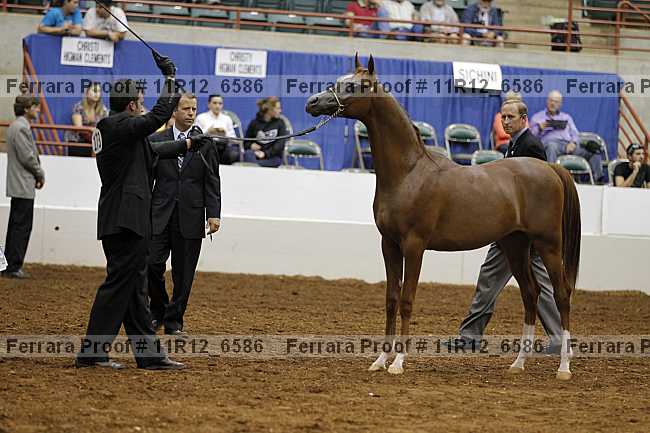 Proof 11r12_6586