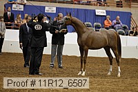11r12_6587 proof