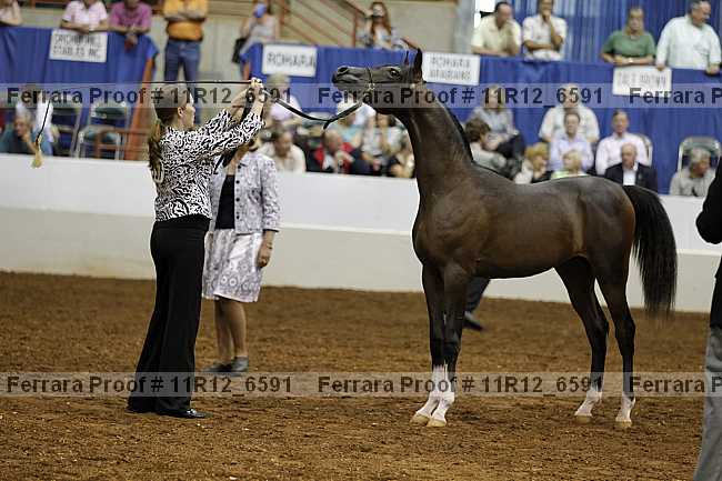 Proof 11r12_6591