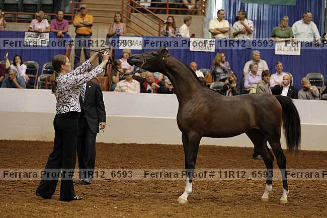 Proof 11r12_6593