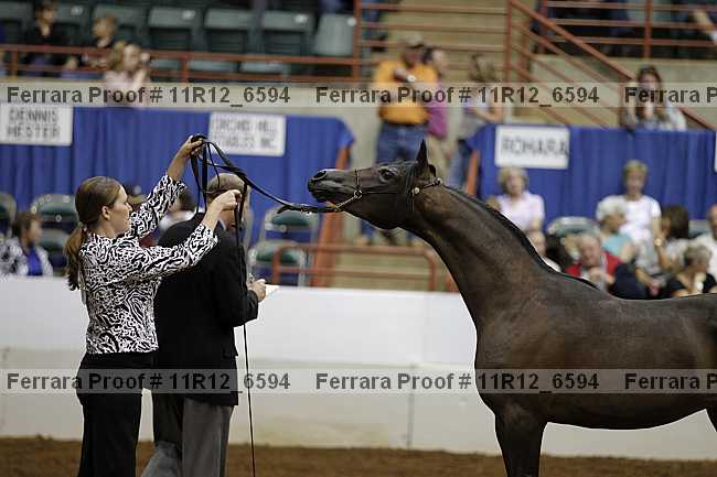 Proof 11r12_6594