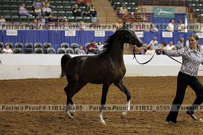 Proof 11r12_6595
