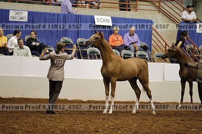 Proof 11r12_6597