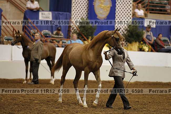 Proof 11r12_6598
