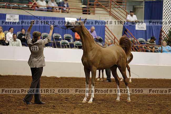 Proof 11r12_6599