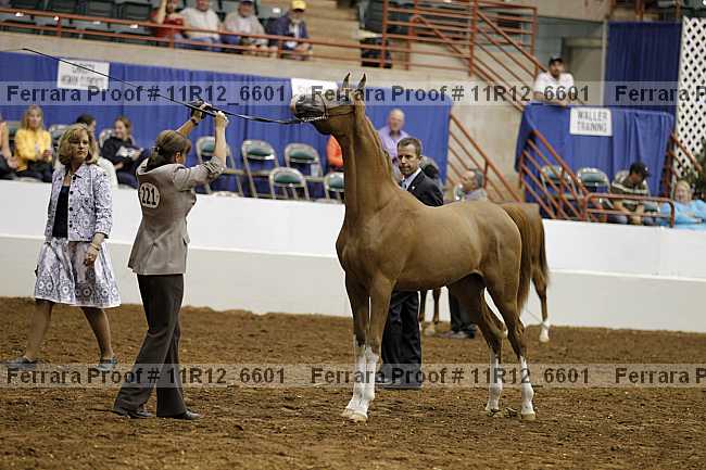 Proof 11r12_6601