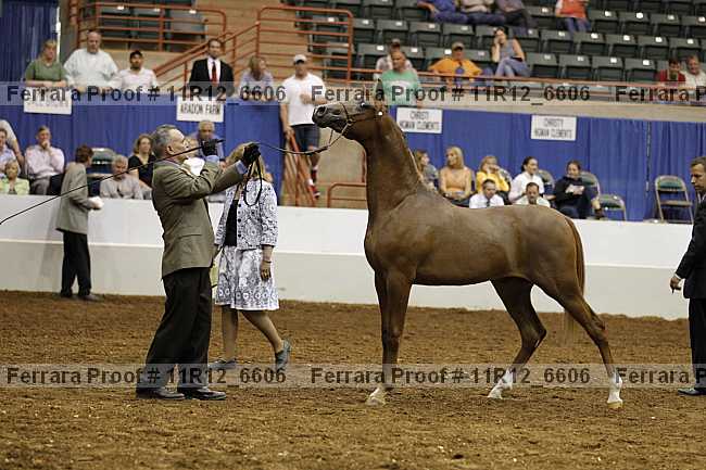 Proof 11r12_6606