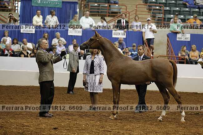 Proof 11r12_6609