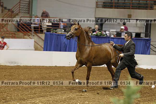 Proof 11r12_0134