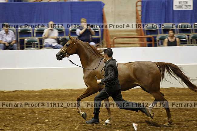 Proof 11r12_0135