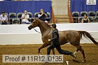 11r12_0135 proof