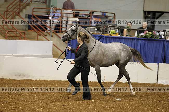 Proof 11r12_0136