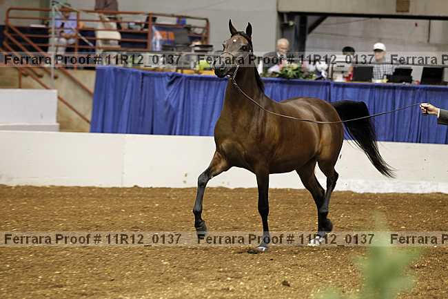 Proof 11r12_0137