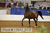 11r12_0137 proof