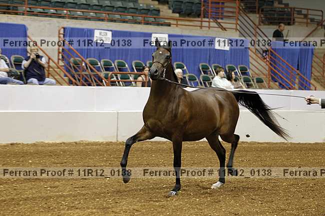 Proof 11r12_0138