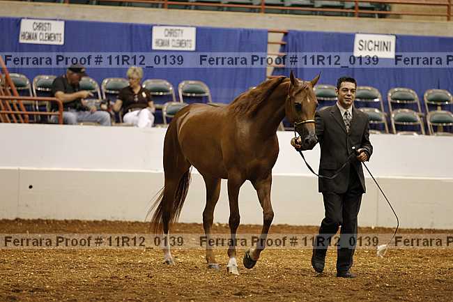 Proof 11r12_0139