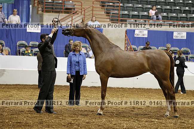 Proof 11r12_0140