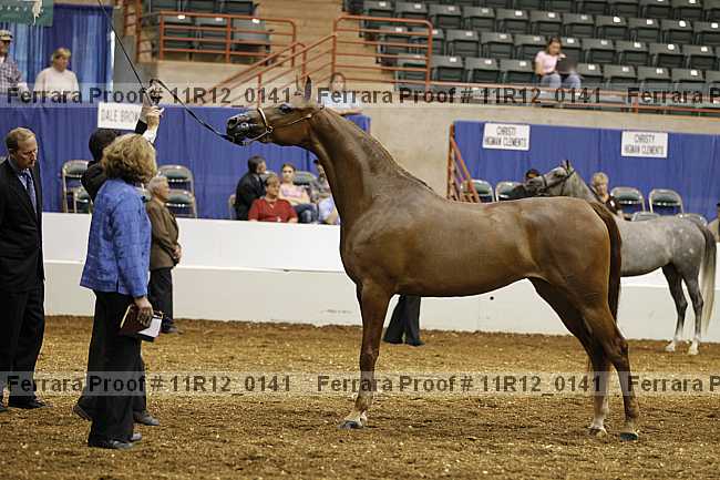 Proof 11r12_0141