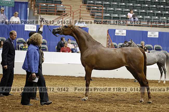 Proof 11r12_0142