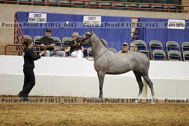 Proof 11r12_0143