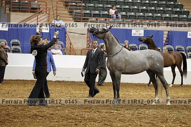 Proof 11r12_0145
