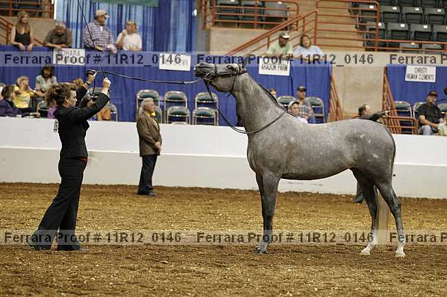 Proof 11r12_0146
