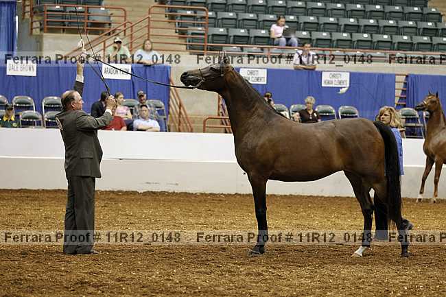 Proof 11r12_0148