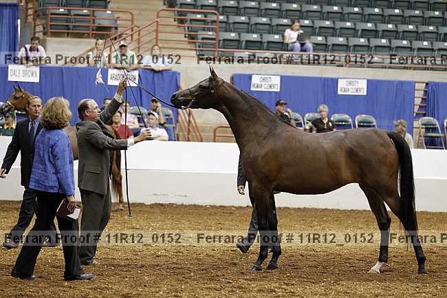 Proof 11r12_0152
